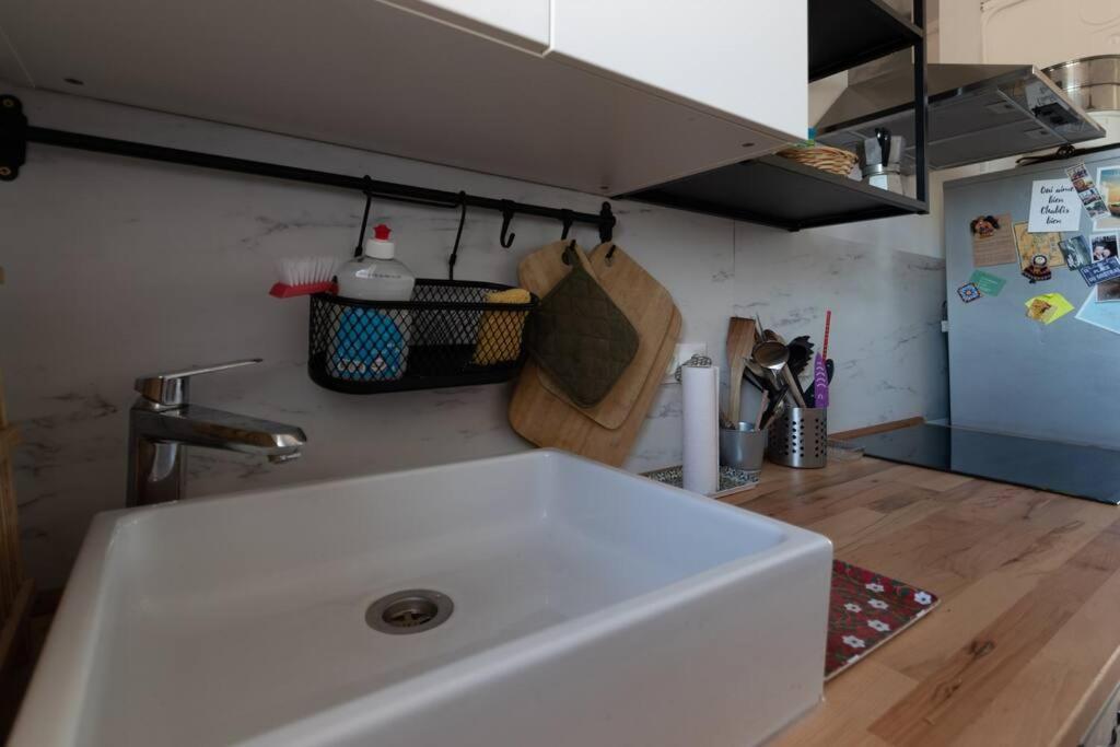 Cabana & Grand Appartement Cosy - Parking & Balcon Виллефранче-Сур-Салне Экстерьер фото